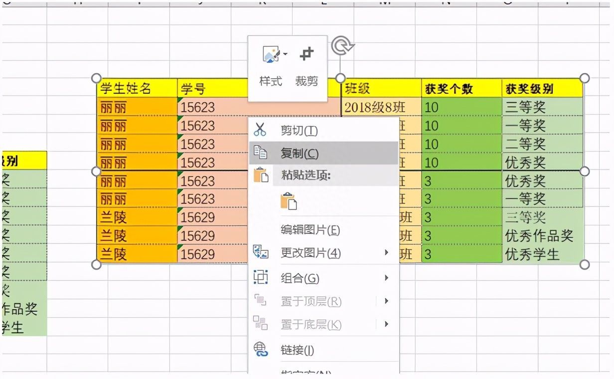 Excel表格技巧—如何将Excel表格转换成图片插图16