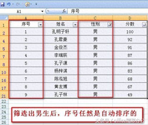 Excel数据筛选后，序号如何自动排序？插图4