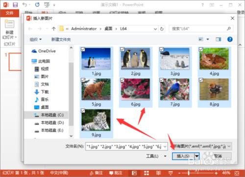 PowerPoint2013中怎么给相册添加音乐插图6