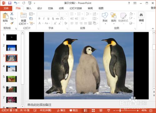 PowerPoint2013中怎么给相册添加音乐插图10