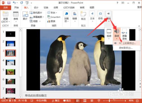 PowerPoint2013中怎么给相册添加音乐插图12