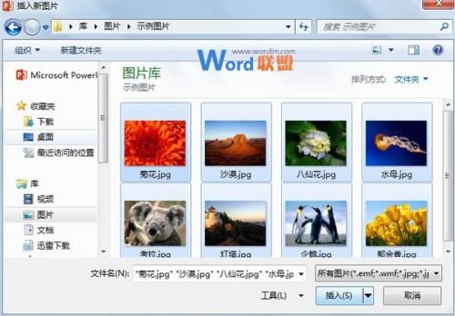 如何批量将图片快速导入到PowerPoint 2013中插图4