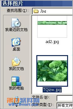 PowerPoint背景填充也能随意裁剪图片插图4