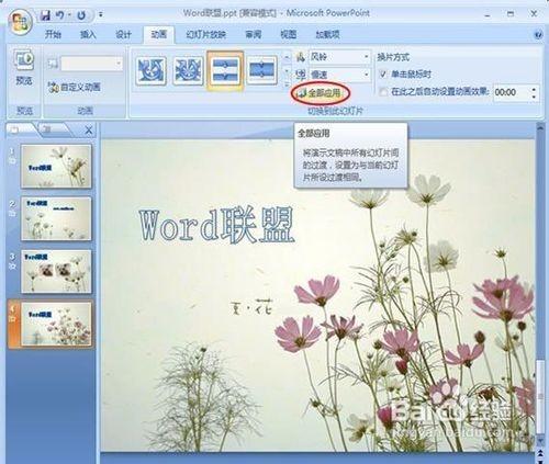 powerpoint2007设置图片的切换效果插图10