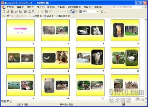 PowerPoint怎么制作电子相册插图12