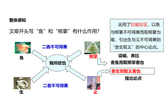 鱼我所欲也PPT课件5插图8