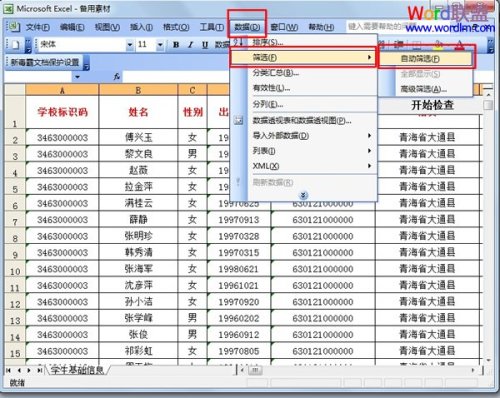 巧用Excel2003"自动筛选"工具筛选数据技巧插图