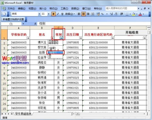 巧用Excel2003"自动筛选"工具筛选数据技巧插图4