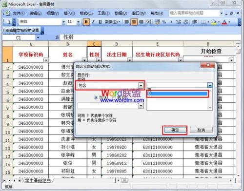 巧用Excel2003"自动筛选"工具筛选数据技巧插图6