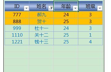 Excel2013中进行颜色筛选的操作方法插图18