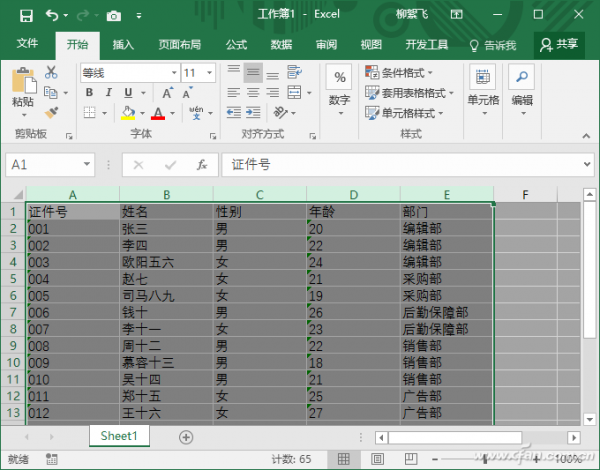 Excel列宽如何快速调整插图2