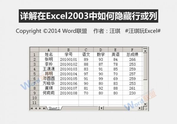 怎么在Excel2003中如何隐藏行或列插图