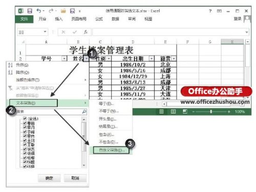 Excel表格中怎么使用通配符筛选文本插图