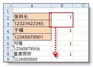 如何使用Excel表格快速分离姓名和手机号码?插图4