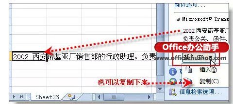 excel中翻译功能怎么使用插图2