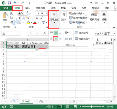 Excel2013怎么进行排版?插图2