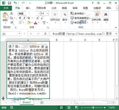 Excel2013怎么进行排版?插图12