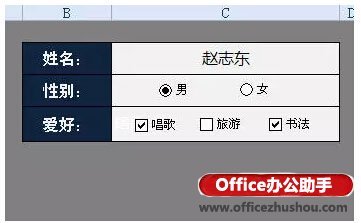 Excel里方框内打勾的应用实例插图