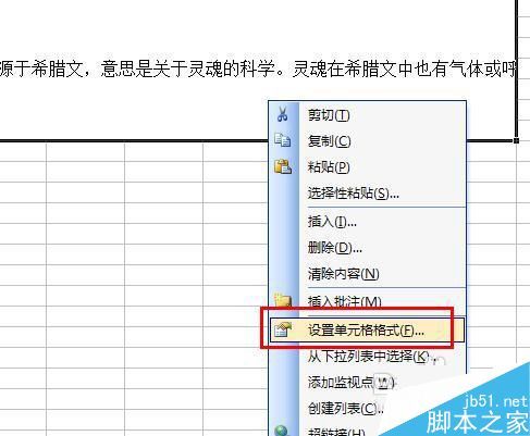 excel表格中如何编辑一大段文字?插图10