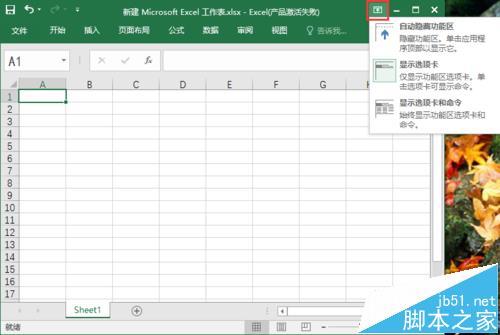 excel2016工具栏怎么显示/隐藏?插图6