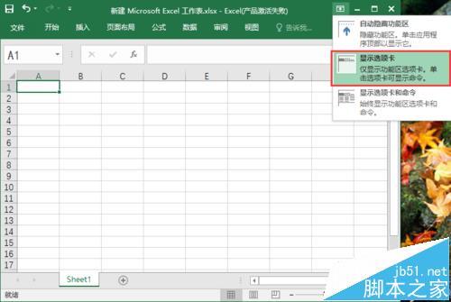 excel2016工具栏怎么显示/隐藏?插图8