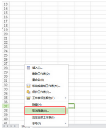 wps版excel中工作表标签不见了怎么调出来插图10