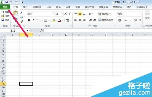 office2010怎么添加Excel表格记录单插图2