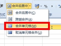 Excel2010怎么合并单元格插图6