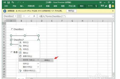 excel2007加入两对单选框怎么实现插图4