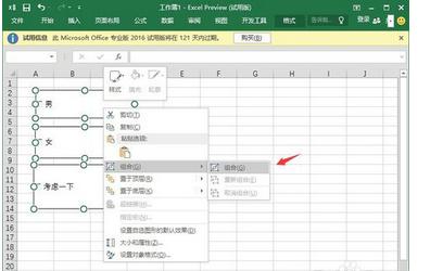 excel2007加入两对单选框怎么实现插图6