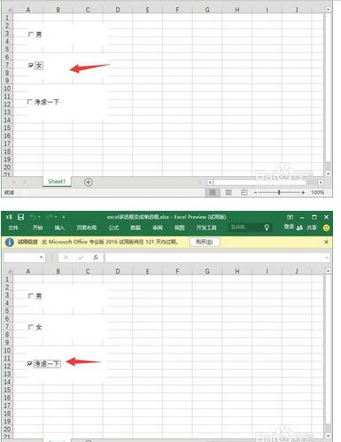 excel2007加入两对单选框怎么实现插图16