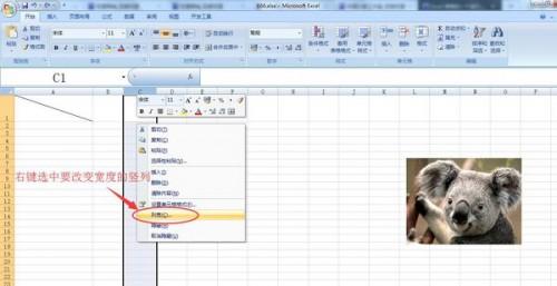 Excel 表格的一个列怎么将宽度缩小插图2