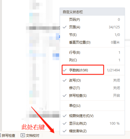 WPS技巧之文件左下角的字数统计不见了插图6